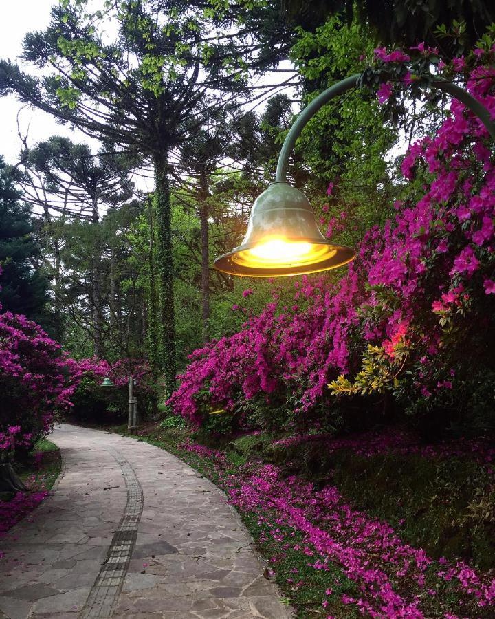 Apartamento Refugio Do Ipe Em Gramado - Proximo Ao Lago Negro Buitenkant foto